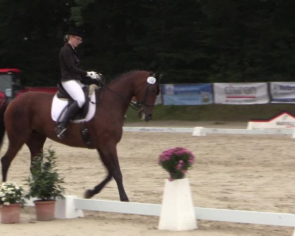 Dressurturnier Meinerzhagen 2015