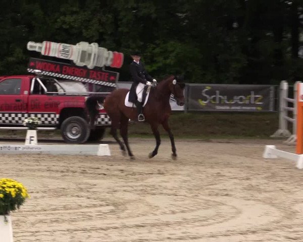 Dressurturnier Meinerzhagen 2015
