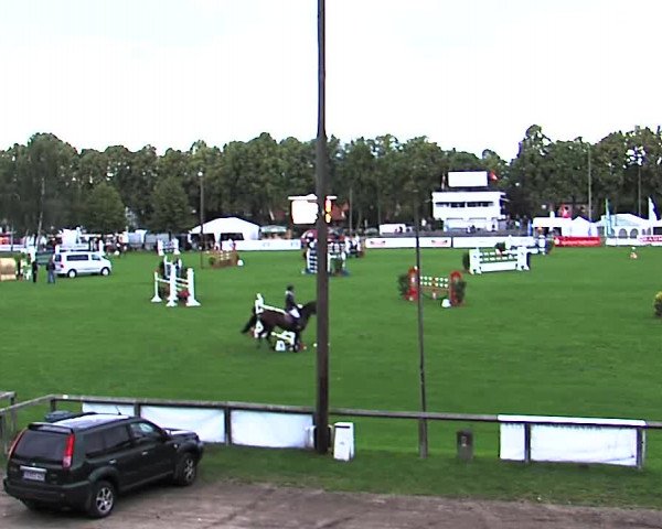 Reitturnier Bad Segeberg 2015