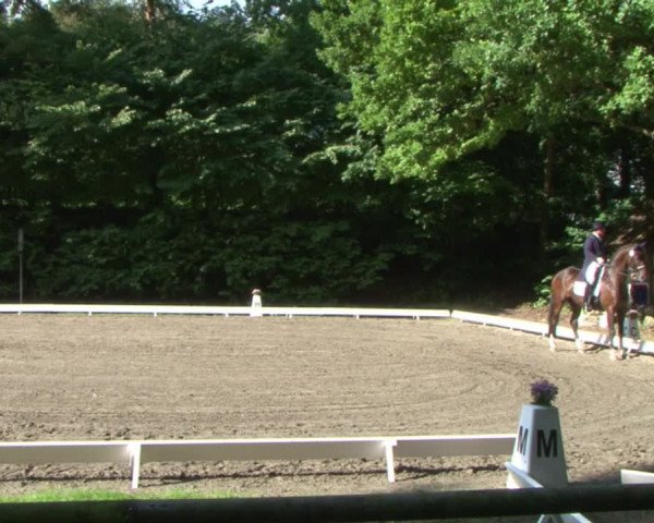 Reitturnier Bad Segeberg 2015