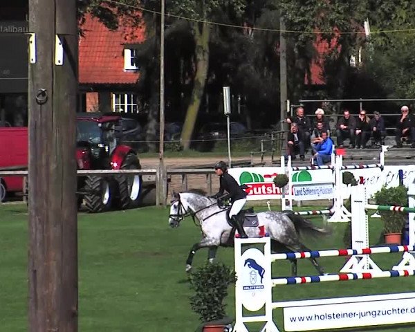 Reitturnier Bad Segeberg 2015