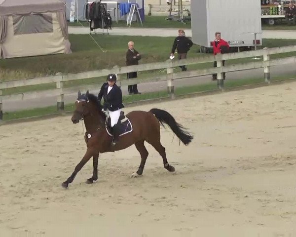 Reitturnier Linkenheim-Hochstetten 2015