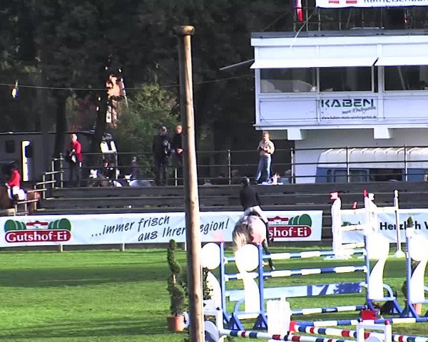 Reitturnier Bad Segeberg 2015