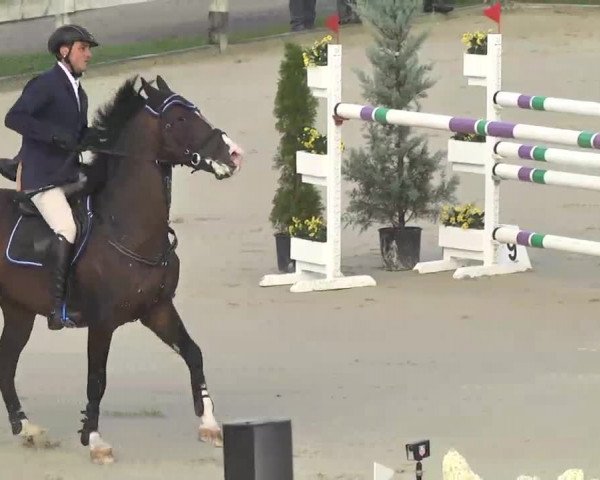 Reitturnier Linkenheim-Hochstetten 2015