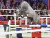 stallion Cotton Club K (Oldenburg show jumper, 2015, from Cornet Obolensky)