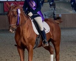 broodmare Roxana (Oldenburg show jumper, 2004, from Rex Graziano)