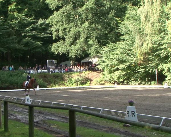 Reitturnier Bad Segeberg 2015