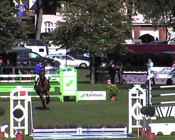 Reitturnier Bad Segeberg 2015