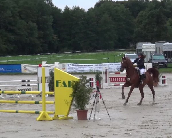 Reitturnier Bergisch Gladbach-Paffrath 2015