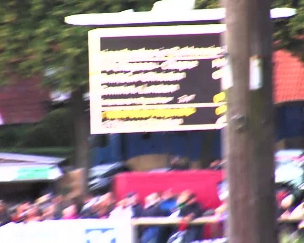 Reitturnier Bad Segeberg 2015