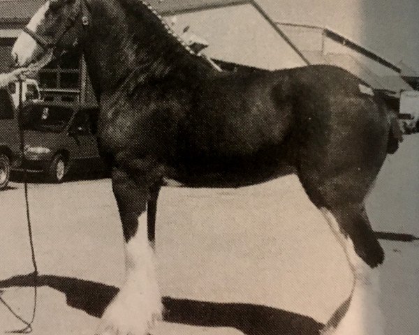 Deckhengst Dirt Road Wes (Clydesdale, 1997, von Tulloes Coisty)