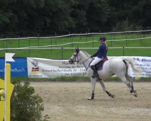 Reitturnier Bergisch Gladbach-Paffrath 2015