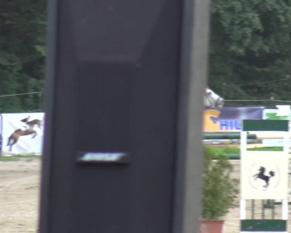Reitturnier Bergisch Gladbach-Paffrath 2015