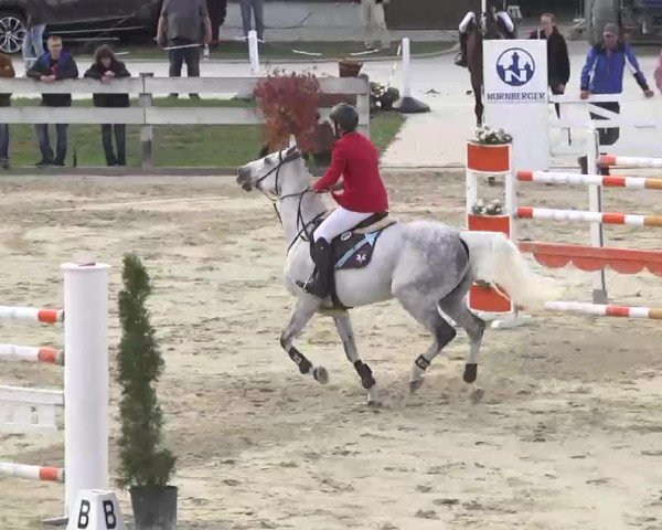 Reitturnier Linkenheim-Hochstetten 2015