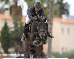 jumper Gotham City Pl (Belgium Sporthorse, 2012, from Filou de Muze)