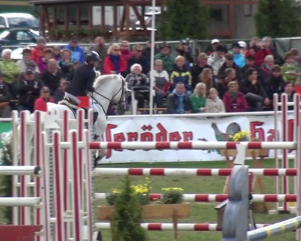 11. Allröder Reitertage - Hotelturnier "Harzer Land"