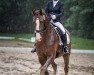 dressage horse Bella Princess (Oldenburg, 2016, from Borsalino)