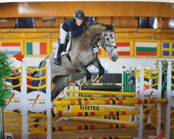 Springpferd Tiara le grand (Deutsches Reitpferd, 2015, von Chamberlain D)