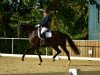 broodmare Altenklosterhof's Blue Sky (German Riding Pony, 2012, from Strahlemann)