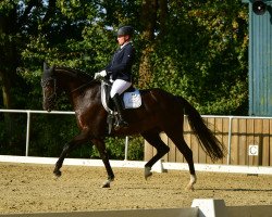 broodmare Altenklosterhof's Blue Sky (German Riding Pony, 2012, from Strahlemann)