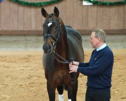 stallion Rasso Royal (Bavarian, 1999, from Rasso)