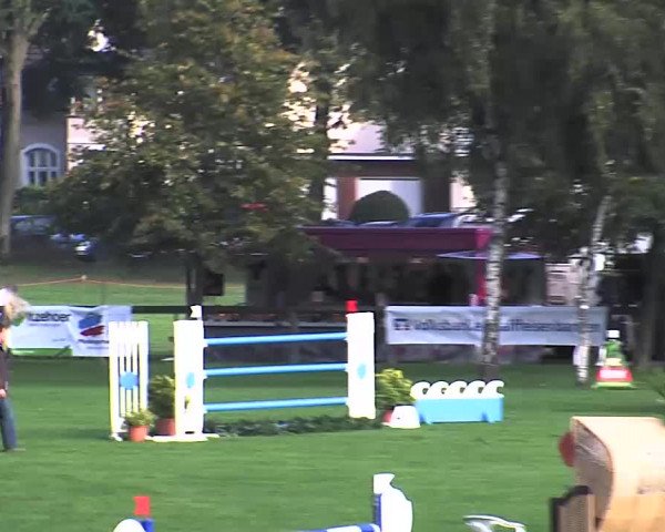 Reitturnier Bad Segeberg 2015
