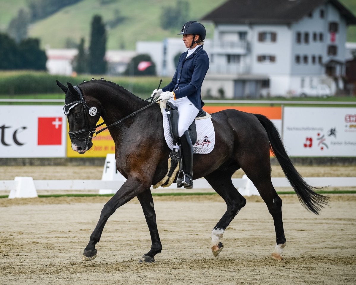 dressage horse Sambesi (Oldenburg, 2010, from Sergio Rossi)