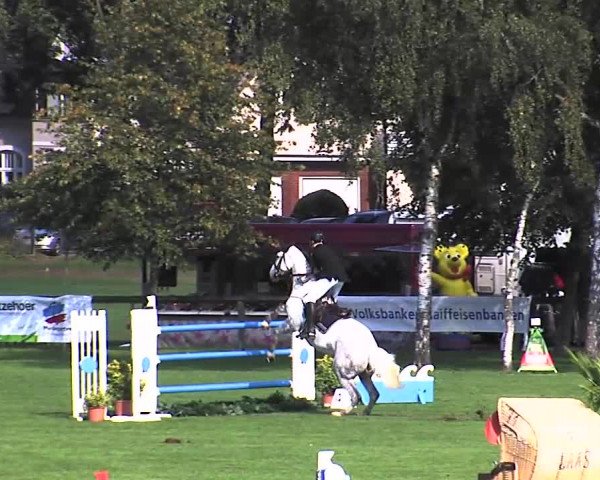 Reitturnier Bad Segeberg 2015
