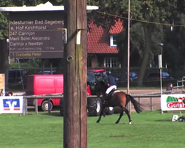 Reitturnier Bad Segeberg 2015
