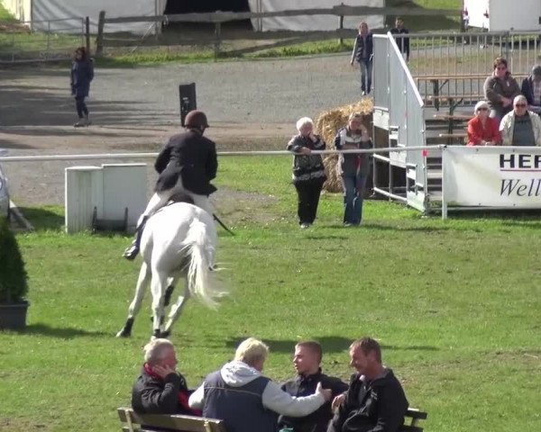 11. Allröder Reitertage - Hotelturnier "Harzer Land"