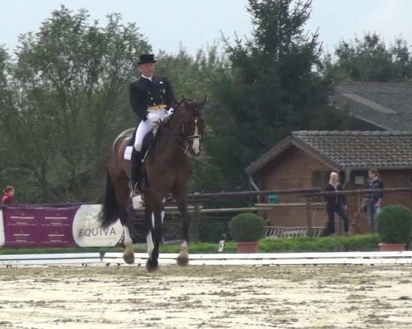 Reitturnier Lohmar-Hausdorp 2015