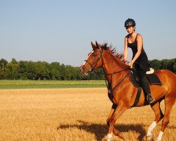 broodmare Legante (Latvian Warmblood, 2002, from Legato)