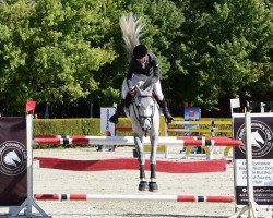 jumper Landor vd Oude Heihoef (Belgian Warmblood, 2011, from Zirocco Blue)