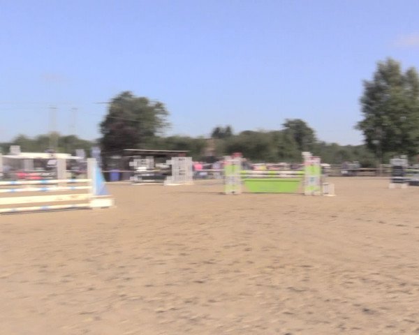 Reit- und Springturnier Lüdinghausen Westrup 2015