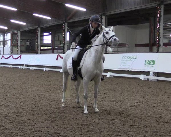 Hallen Dressur-Late-Entry Marl, Hof Rohmann 2021