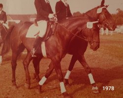 broodmare Cyri (Rhinelander, 1973, from Cyran)