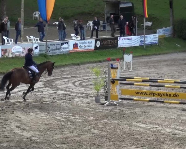 Großes Springturnier Siegen 2015