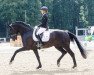 dressage horse Don Mateo (Hanoverian, 2014, from Don Juan de Hus)