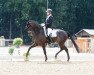 dressage horse Donnerknispel MLP (Rhinelander, 2014, from Daley Thompson)