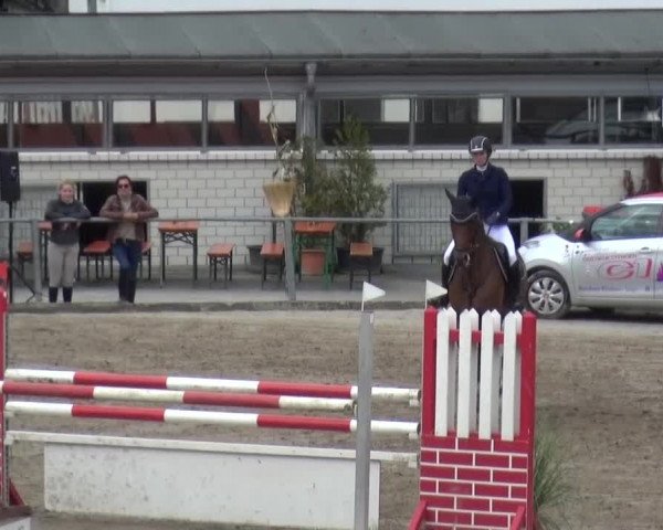 Großes Springturnier Siegen 2015