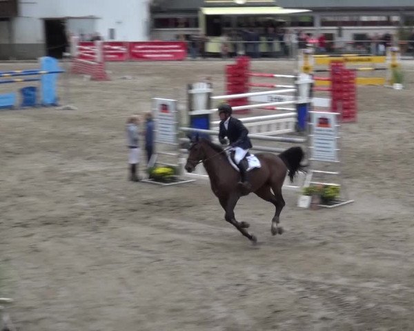 Großes Springturnier Siegen 2015