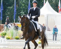 stallion Falihandro (Hanoverian, 2014, from Fürstenball)