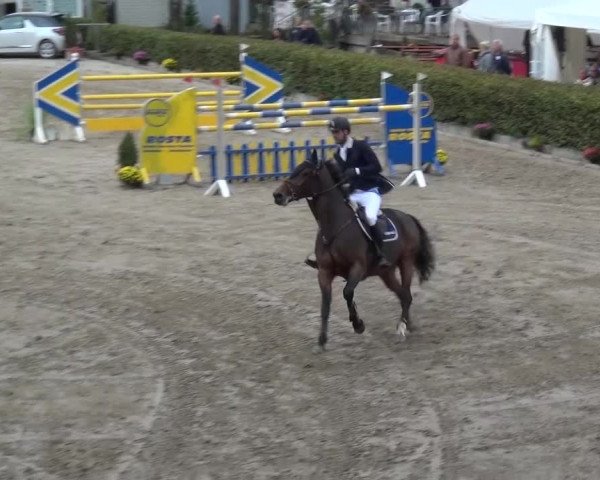Großes Springturnier Siegen 2015