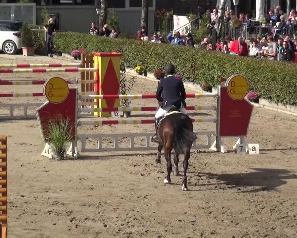 Großes Springturnier Siegen 2015