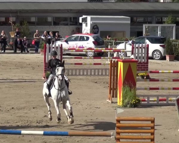 Großes Springturnier Siegen 2015