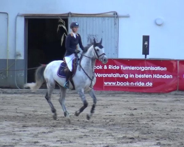 Großes Springturnier Siegen 2015