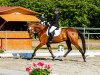 dressage horse Kalisto (Trakehner, 2005, from Alaskatraum)