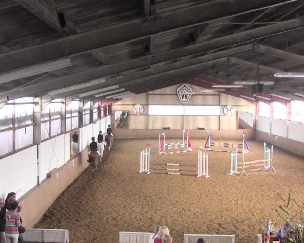 Reit- und Springturnier Lüdinghausen Westrup 2015
