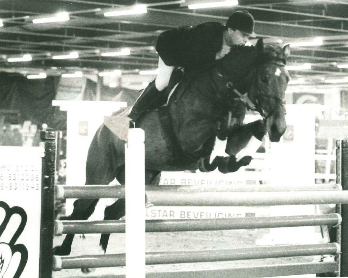 Zuchtstute Hurricane (KWPN (Niederländisches Warmblut), 1989, von Burggraaf)