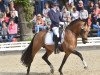 Deckhengst Tackmann's Candyman (Deutsches Reitpony, 2011, von FS Champion de Luxe)